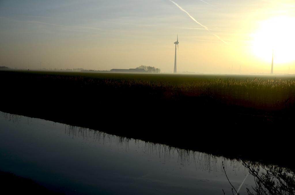 Am Alten Hafen Neuharlingersiel Dış mekan fotoğraf